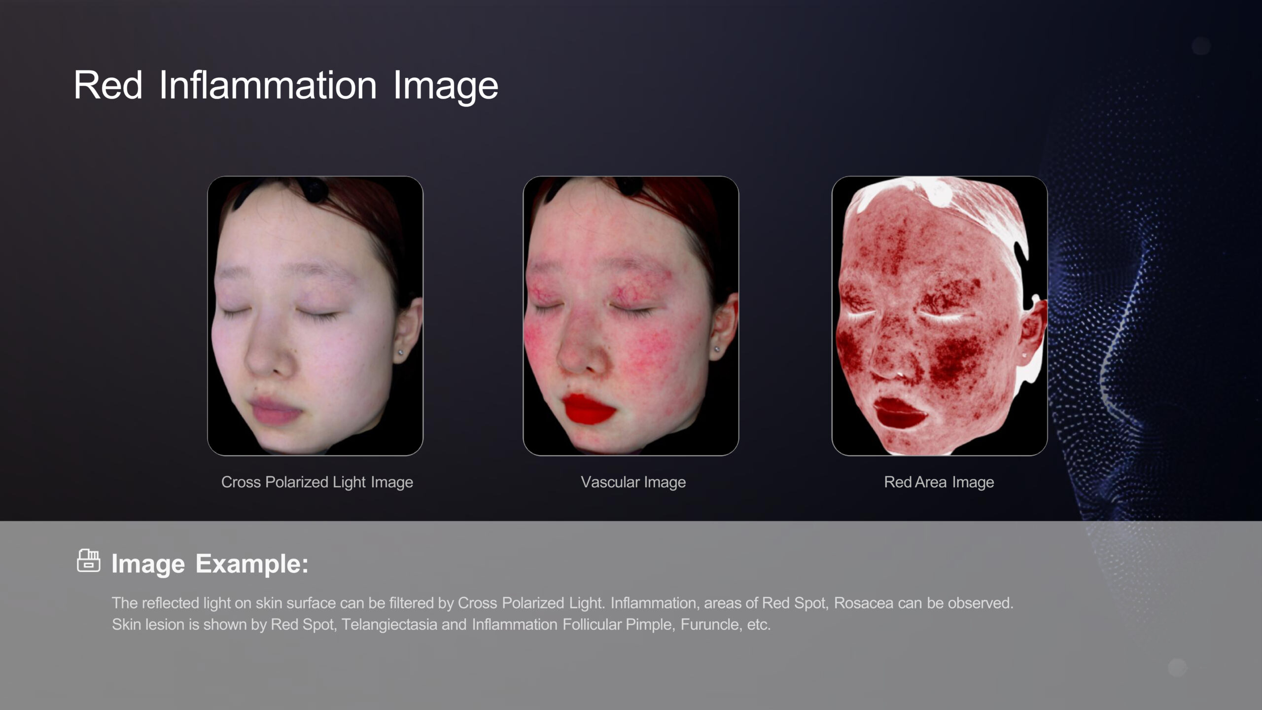 3DSKIN ANALYZER-2025.02.25 (1)-5