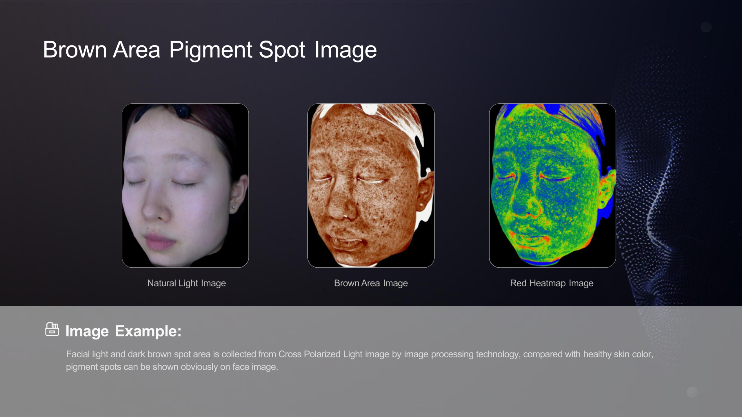3DSKIN ANALYZER-2025.02.25 (1)-6