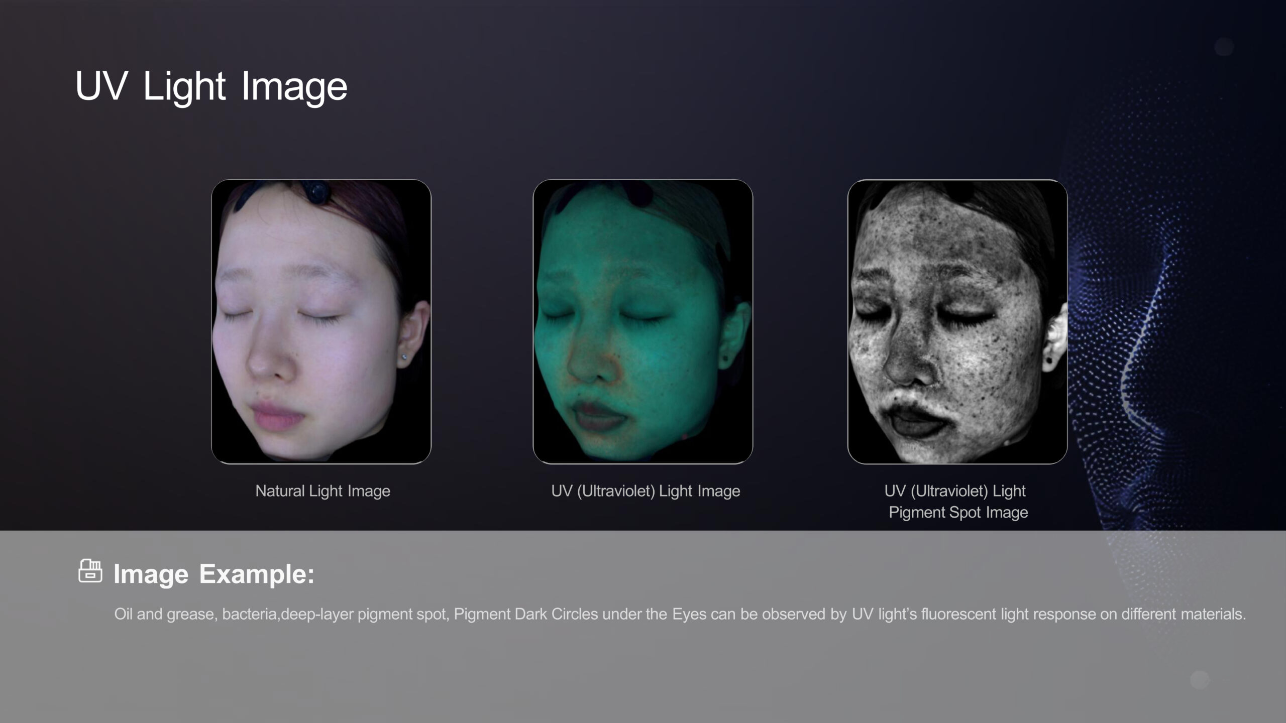 3DSKIN ANALYZER-2025.02.25 (1)-7